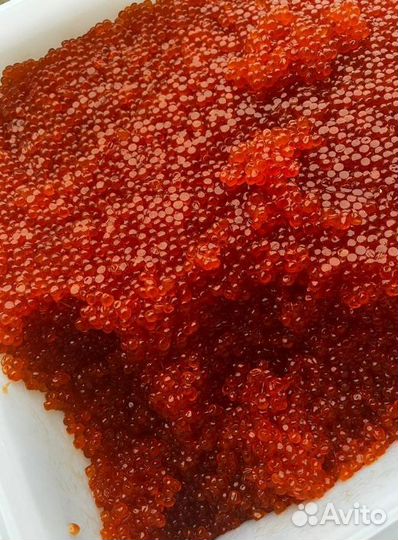 Икра красная оптом свежий улов