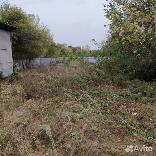 Покос травы триммером