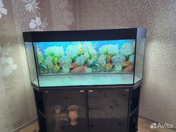 Аквариум 250л