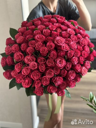 Розы белые, красные, розовые