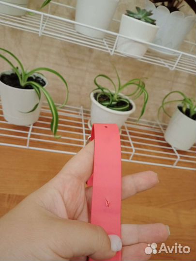 Ошейник из биотана