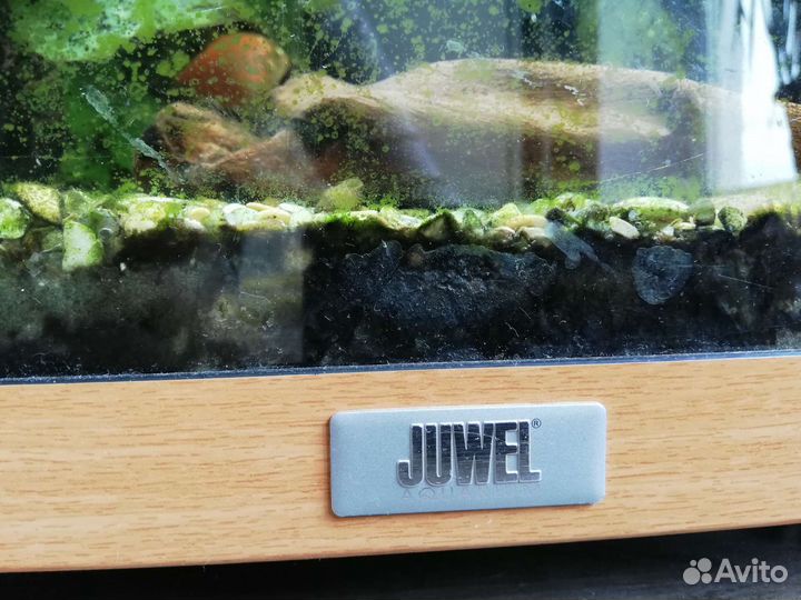 Аквариум на 140л