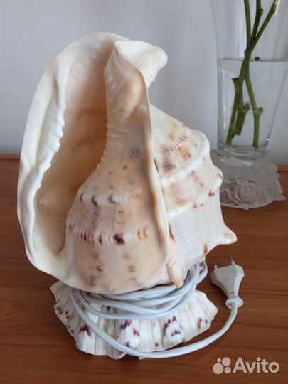 Светильник ракушка