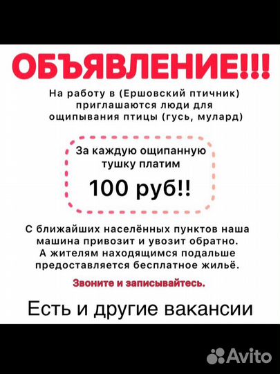 Работа и ощипование птицы