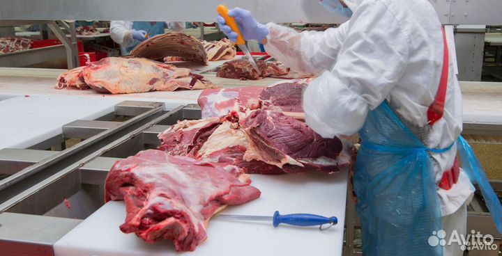 Ищу партнера в бизнес, доход 21014 в мес