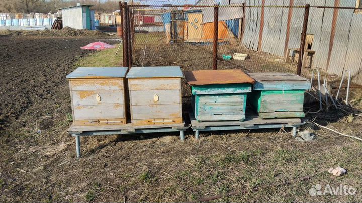 Ульи с пчелами