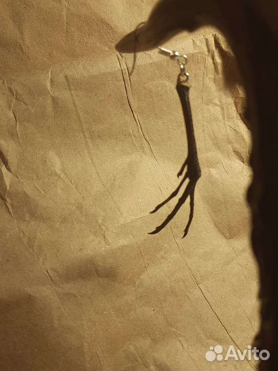 Лапка птички