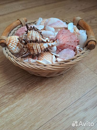 Корзинка с ракушками с персидского залива