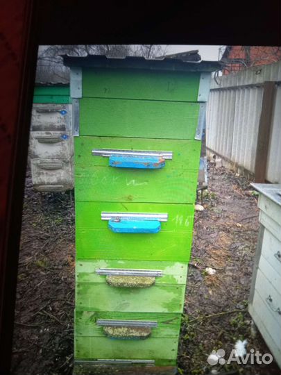 Улей для пчел бу