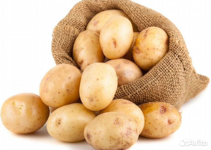 Продам картошку