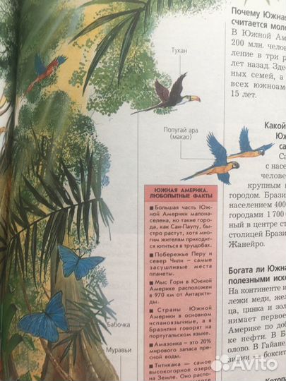 Энциклопедия