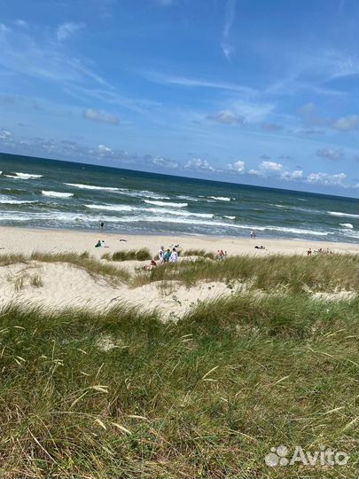 Экскурсия на Куршскую косу индивидуальная