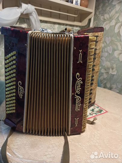 Аккордеон