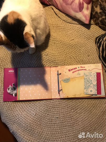 Фотоальбом Вискас