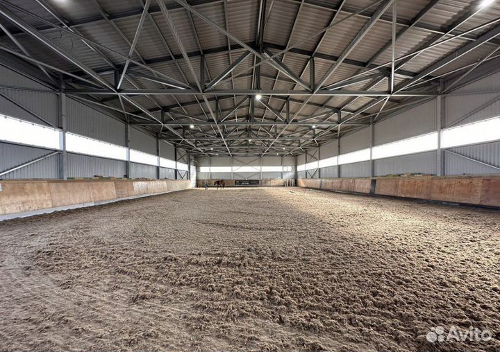 Уход за животными