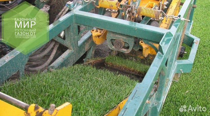 Рулонный газон