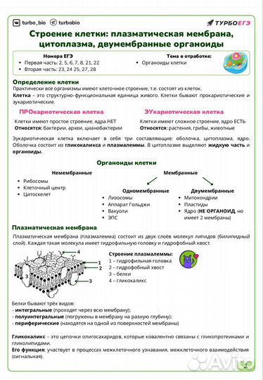Конспекты по биологии