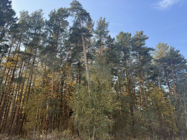 Участок 7 сот. (ИЖС)