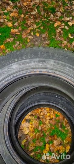 Gislaved NordFrost 100 195/65 R15