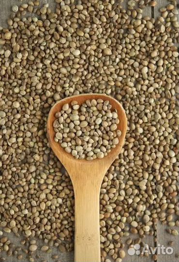 Семена конопли пищевой