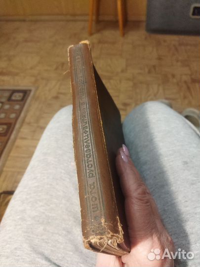 Витязь в тигровой шкуре 1937 г