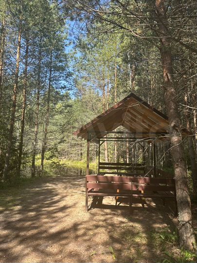 Участок 11 сот. (СНТ, ДНП)