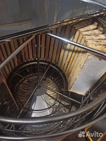 Мёд дягилевый