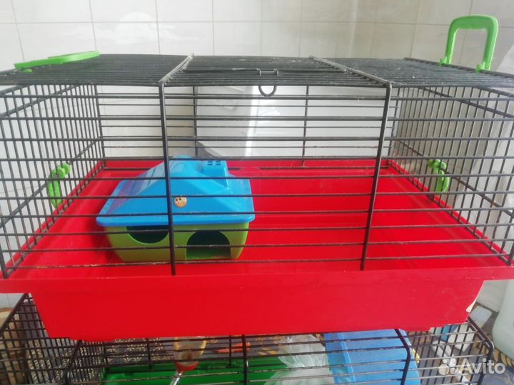 Клетки