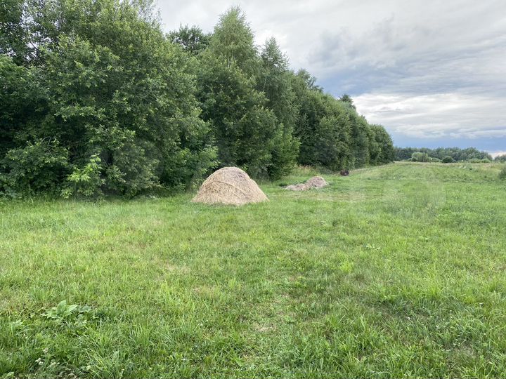 Дом 54 м² на участке 11,6 сот.