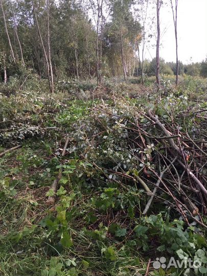 Расчистка участков,спилить дерево