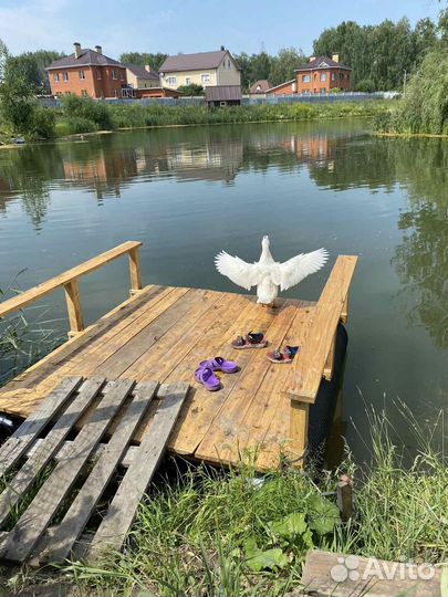 Модуль для причалов и пирсов