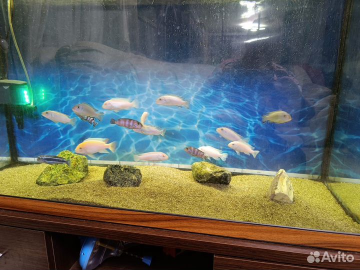 Продается аквариум
