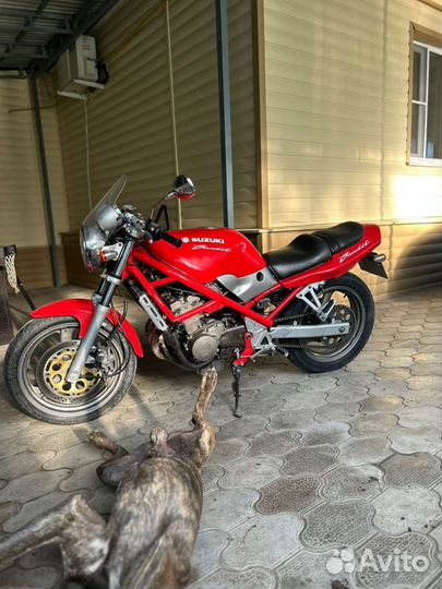 Suzuki bandit