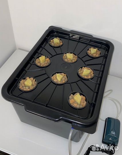 DWC Бокс для Гидропоники