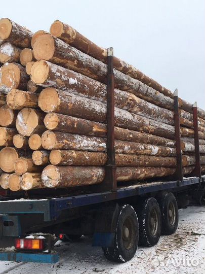 Лес кругляк опт