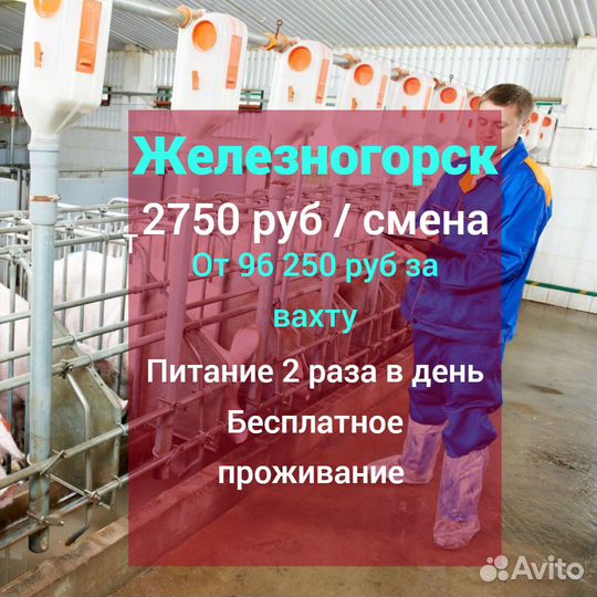 Вахта Разнорабочий уход за животными Железногорск