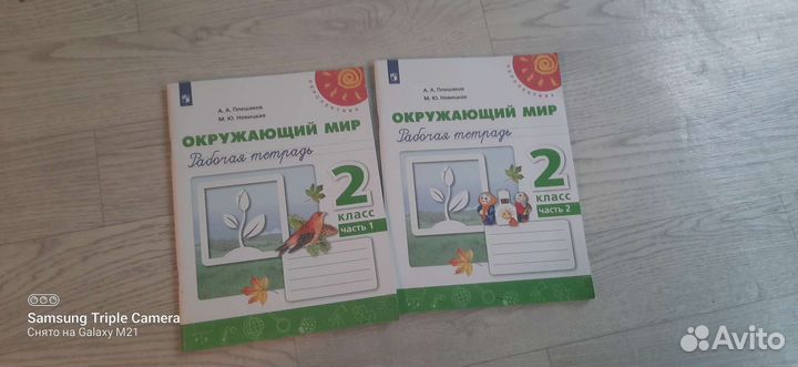 Рабочая тетрадь 2 класс 2 части