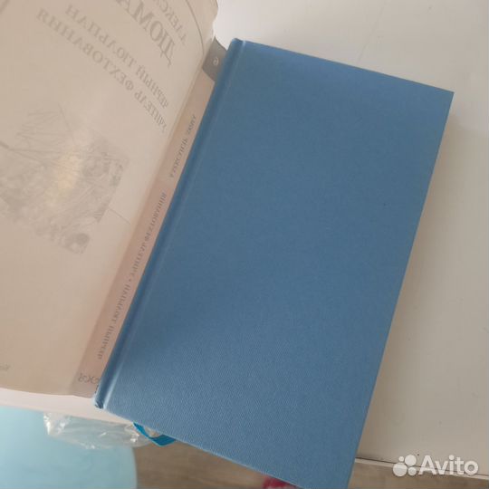 Александр Дюма чёрный тюльпан, учитель фехтования