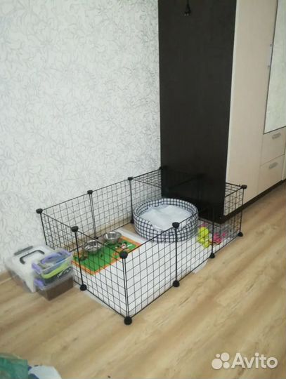 Вольер для собак мелких пород, кроликов