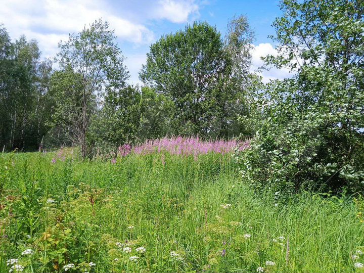 Участок 10 сот. (ИЖС)