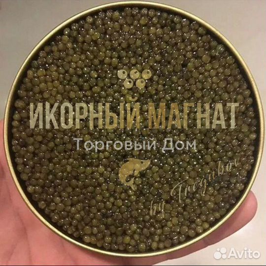 Черная икра от производителя