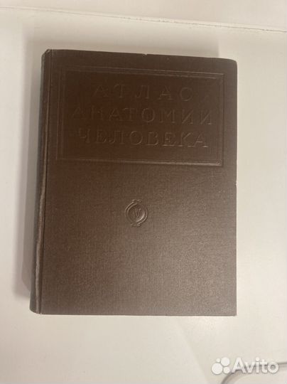 Атлас синельников по анатомии