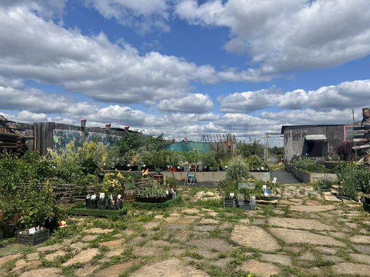 Центр-питомник