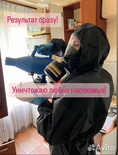 Травка клопов и тараканов, дезинсекция дезинфекция