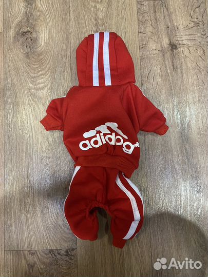 Костюм для собаки