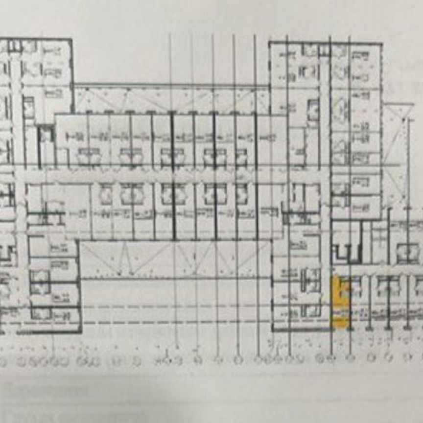 Апартаменты-студия, 24,3 м², 8/14 эт.