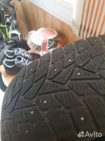 Dunlop Winter Maxx 205/65 R15 и 205/65 R15 94H