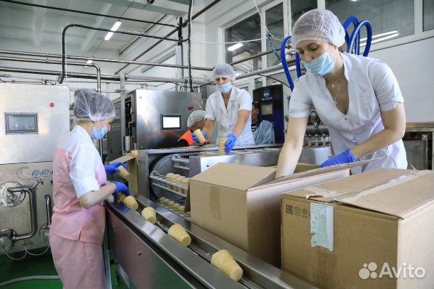 Укладчик без опыта с проживанием в Вологде