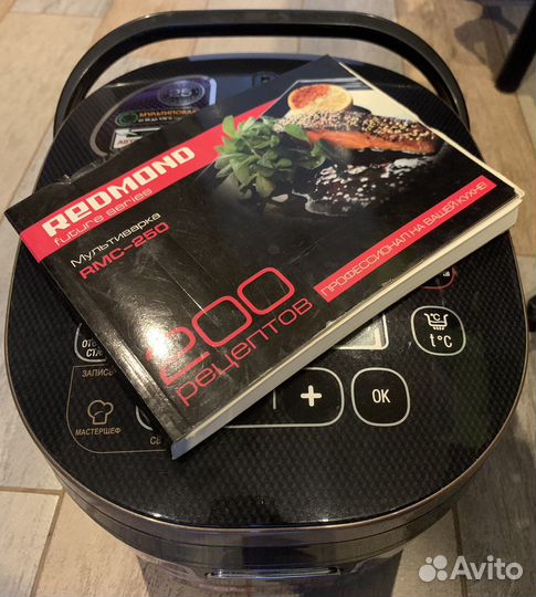 Redmond RMC 250