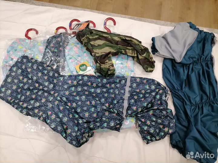 Одежда для собак